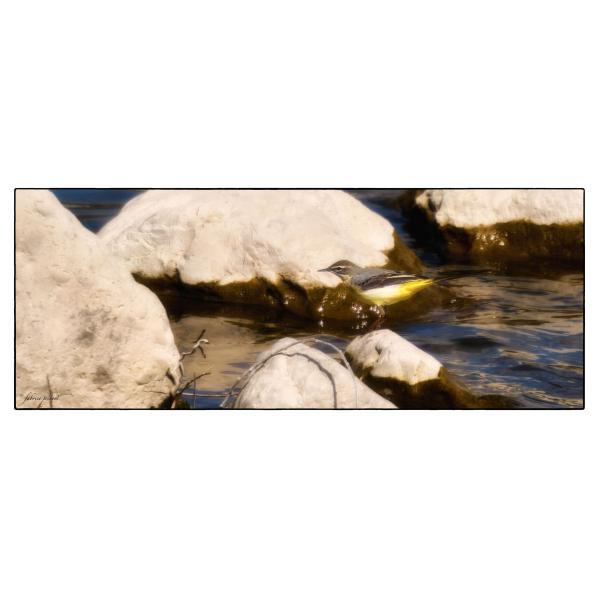 PHOTO84, CLUB, 84 , LUBERON